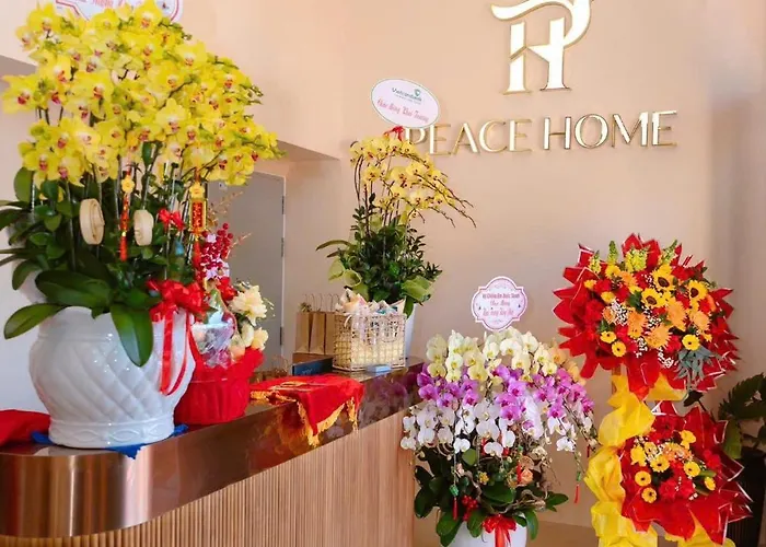 Peace Boutique Khách sạn 3*